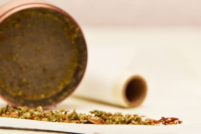Verkruimelde wiet op een vloeitje met een grinder en tip op de achtergrond bij het draaien van een joint.