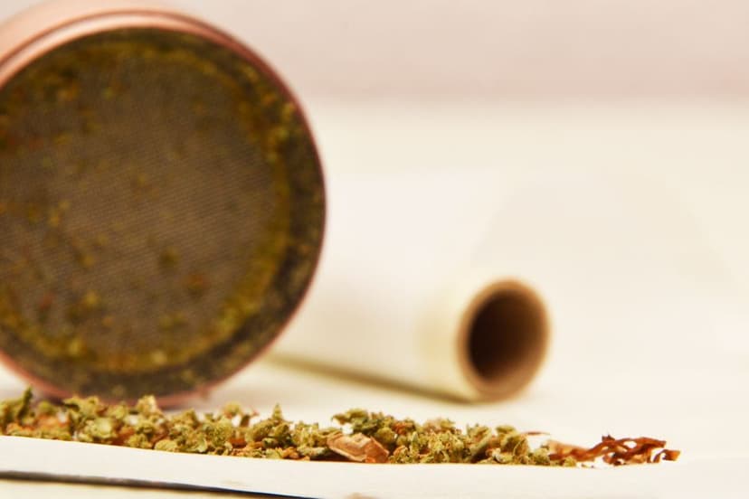 Verkruimelde wiet op een vloeitje met een grinder en tip op de achtergrond bij het draaien van een joint.