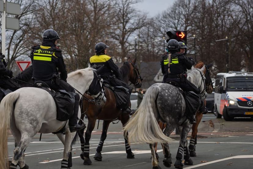 Hasj in Spanje: ruim 4 ton gevonden onder stokbroden
