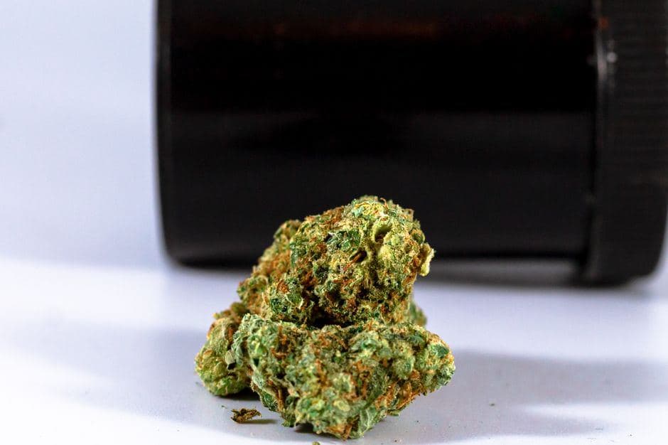 Groene Kush wiettoppen met oranje haartjes liggen voor een donkere pot op een lichte ondergrond.