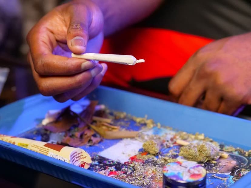 Iemand in een rode sportbroek houdt een gedraaide wietjoint vast boven een tray vol cannabis.