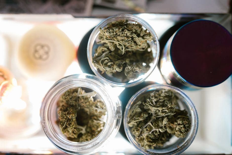 Drie transparante glazen potjes gevuld met gedroogde cannabis staan naast een grinder op een plateau.