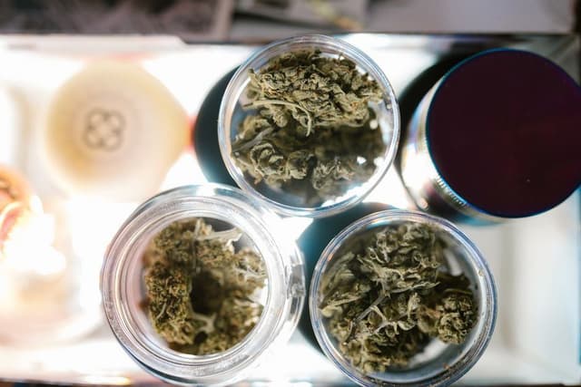 Drie transparante glazen potjes gevuld met gedroogde cannabis staan naast een grinder op een plateau.
