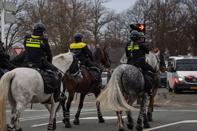 Hasj in Spanje: ruim 4 ton gevonden onder stokbroden